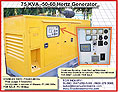 75KVA Standby Generator For Sale or For Hire Philippines