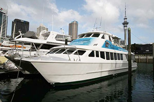 Charter Catamaran for sale
