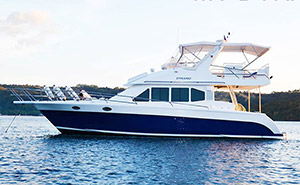 Motor yacht for sale Subic