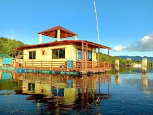 Luxury House-boat For Sale