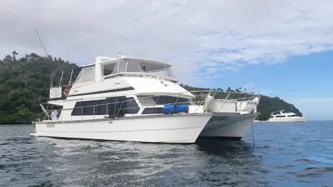 Charter Catamaran For Sale